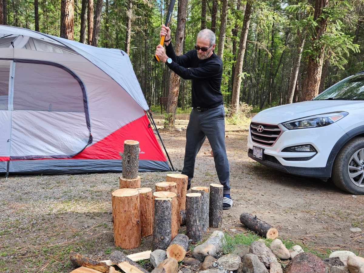 Knowing your limits – in the wild and with&nbsp;AI