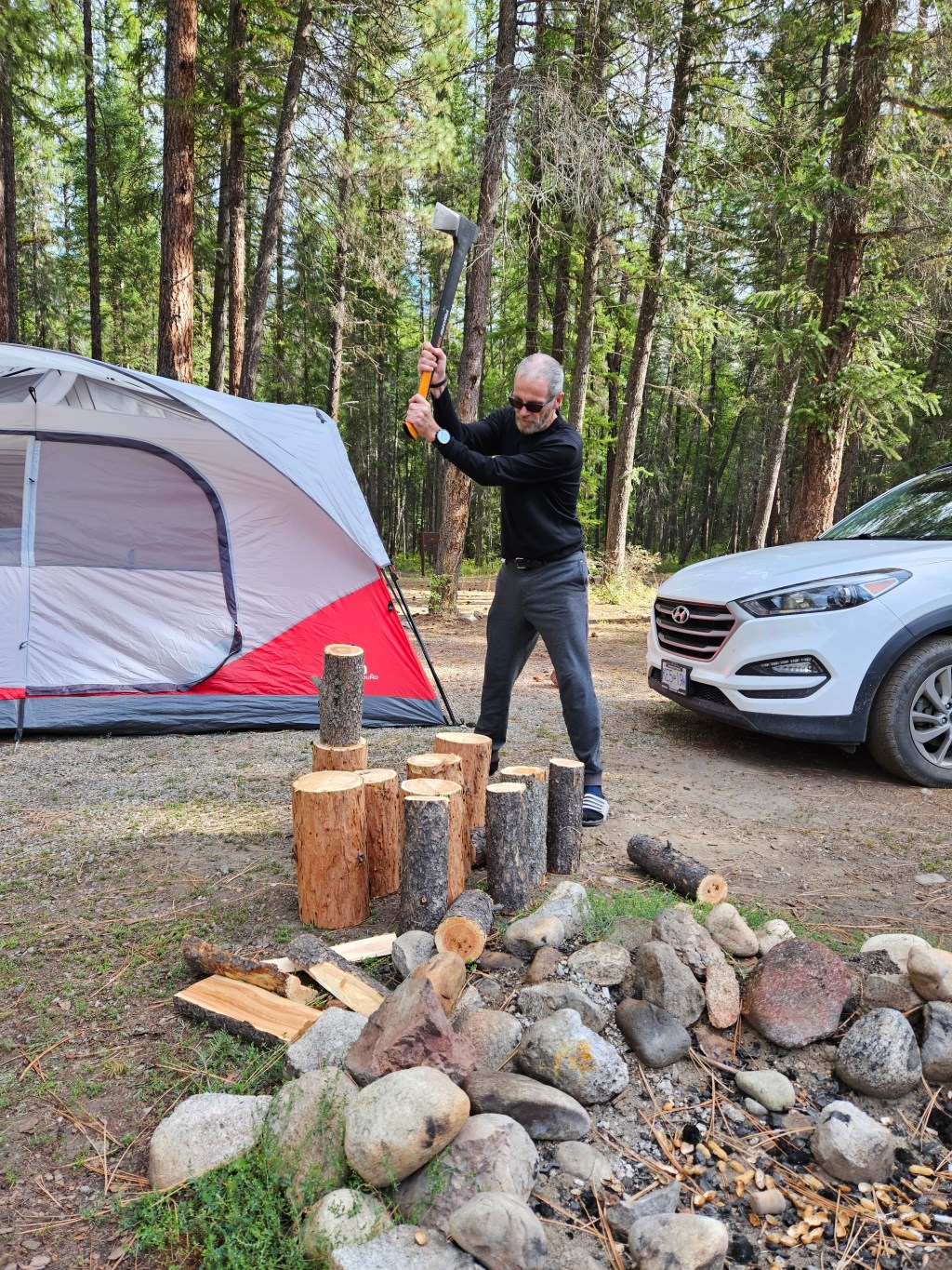 Knowing your limits – in the wild and with&nbsp;AI